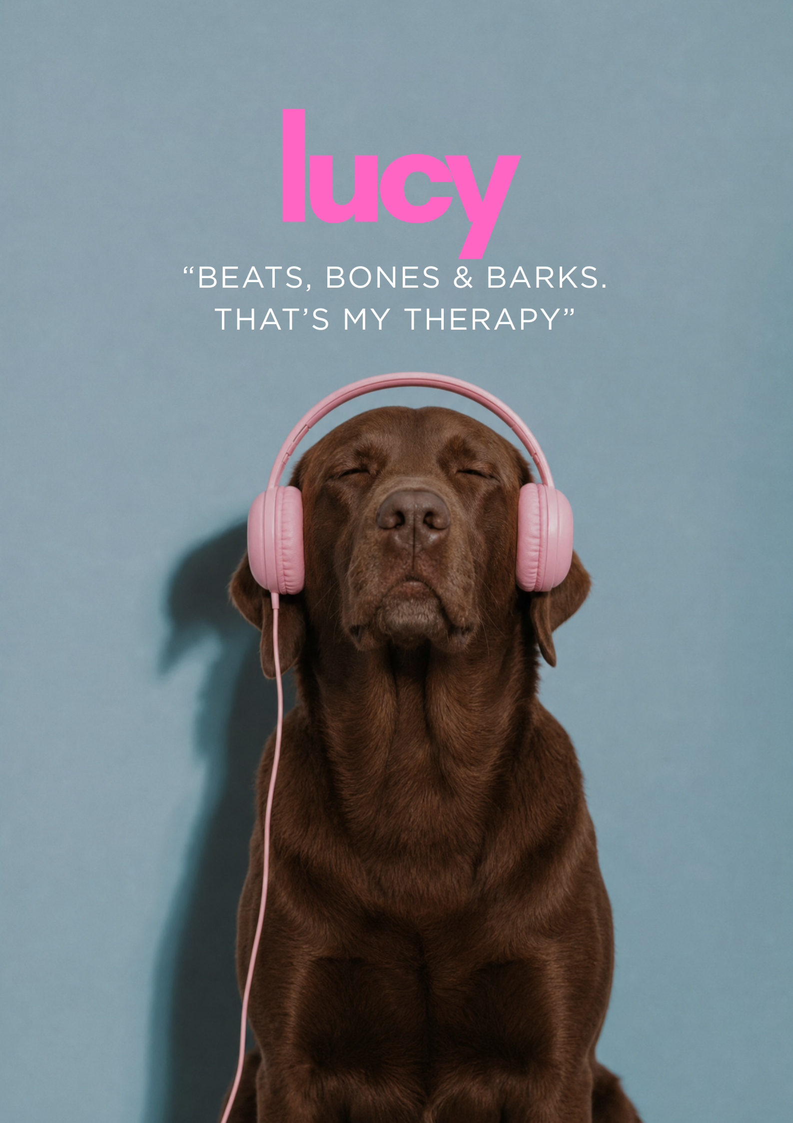 Beats & Barks