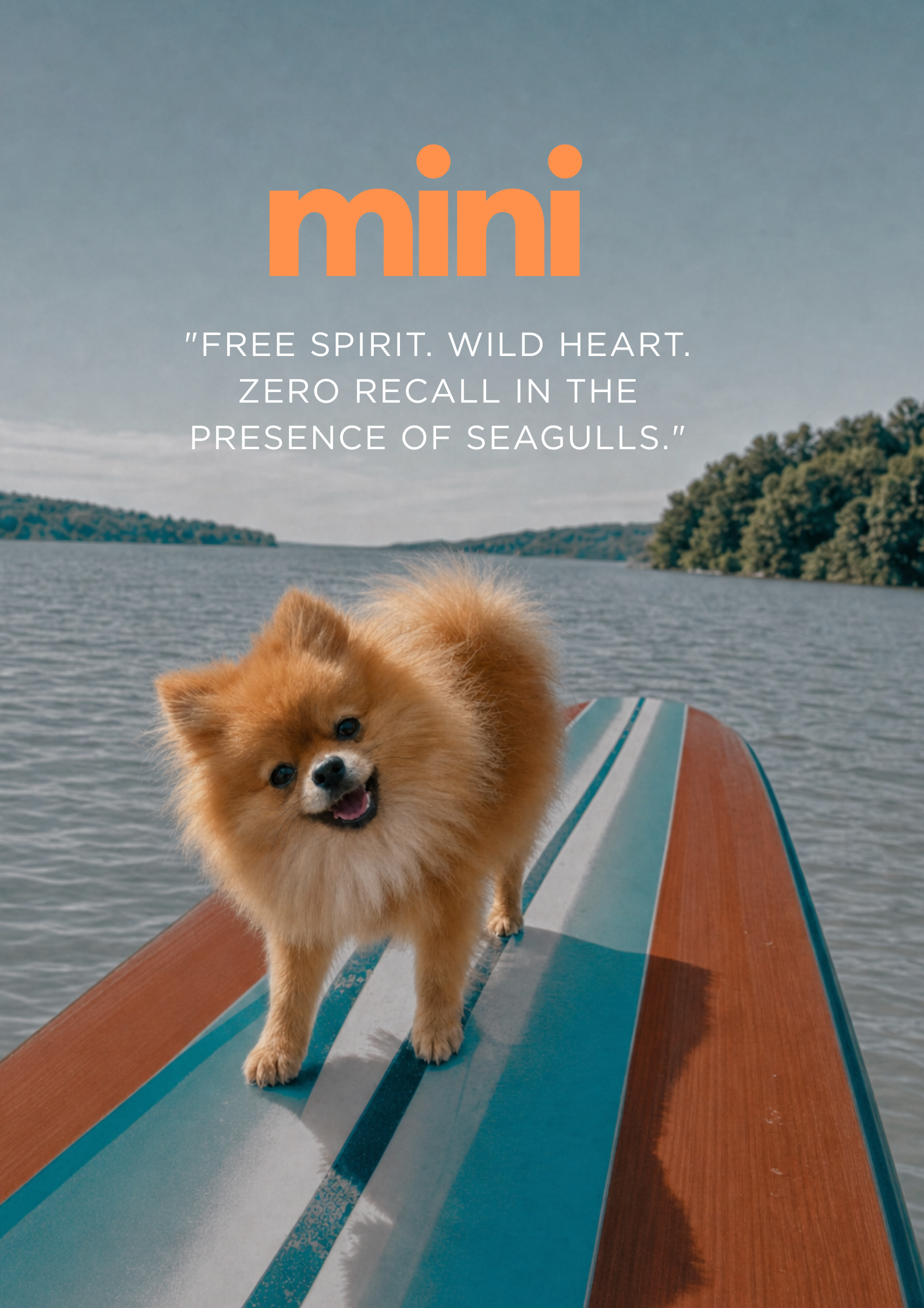 Bark to the Beach