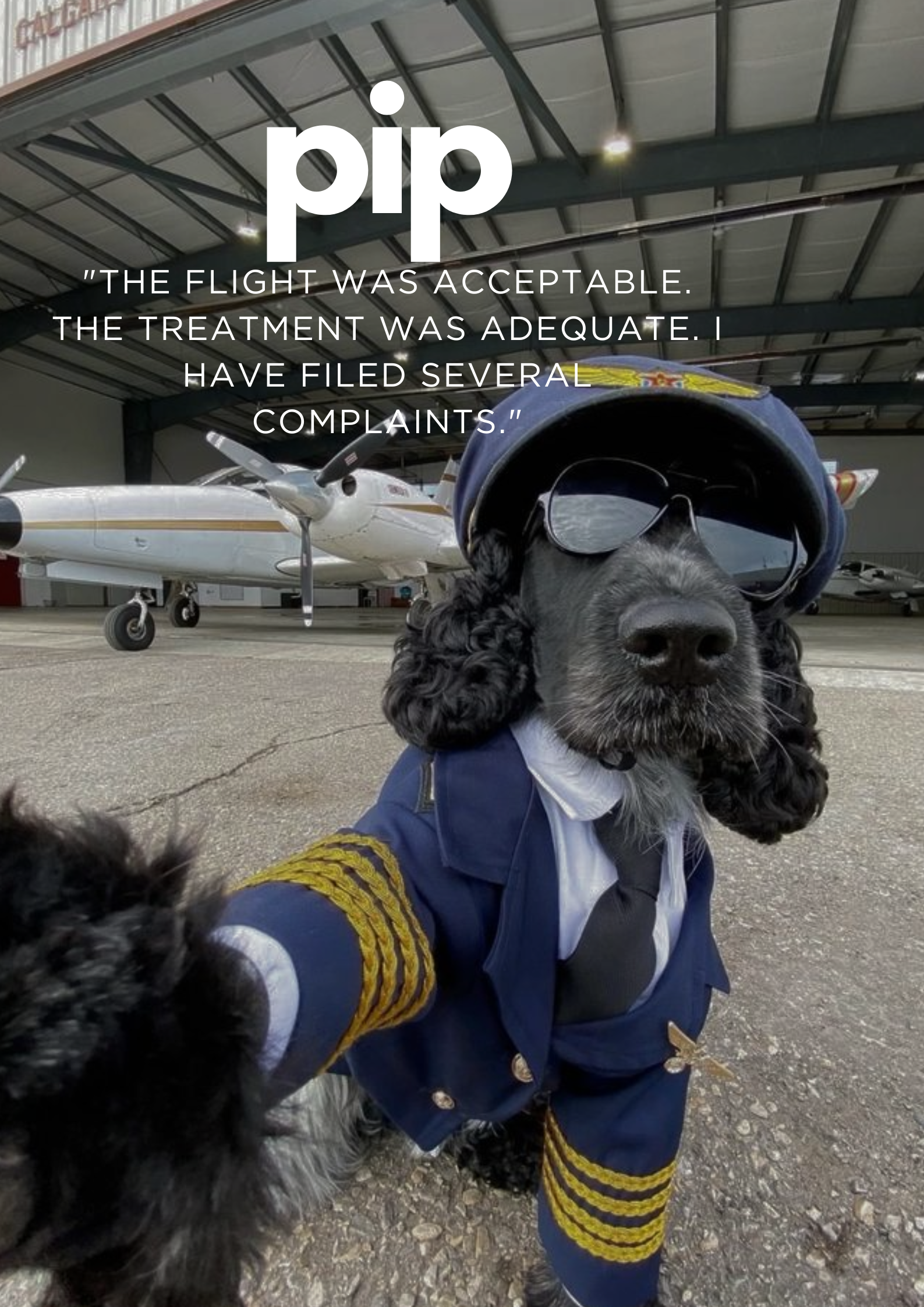 Fur-st Class