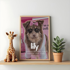 Influenster