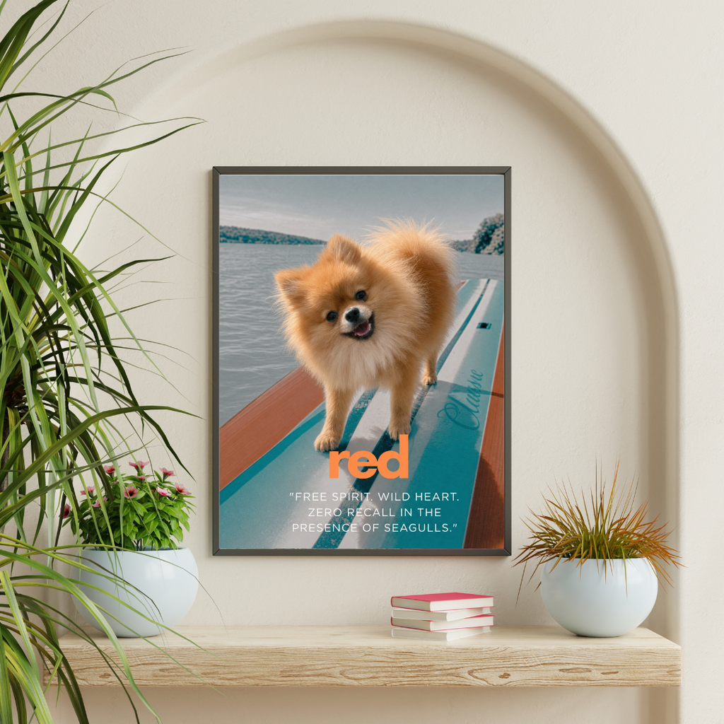Bark to the Beach