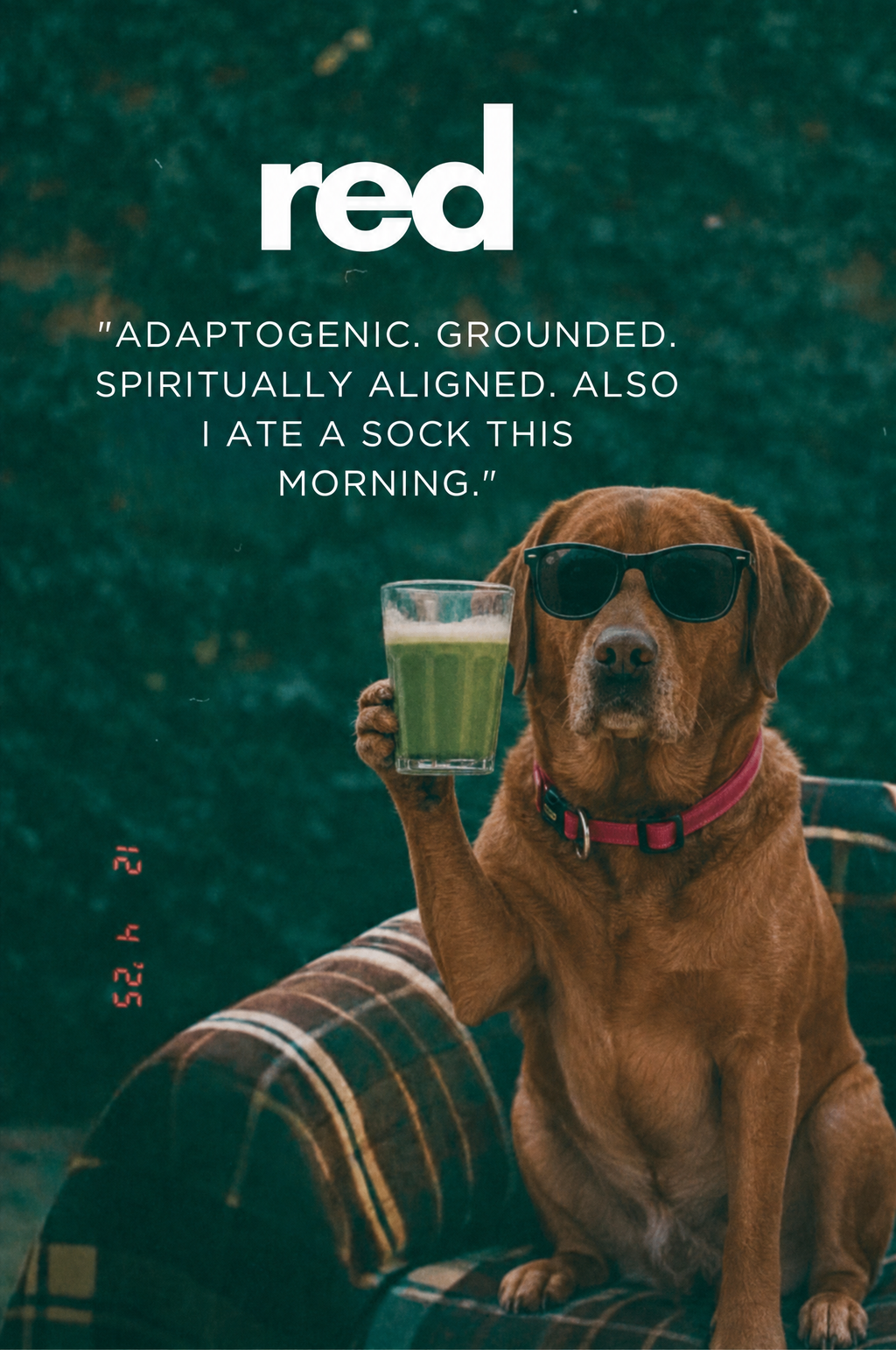 Matcha Mood